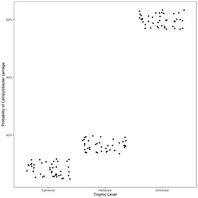 Campylobacter in aquatic and terrestrial mammals is driven by life traits: A systematic review and meta-analysis